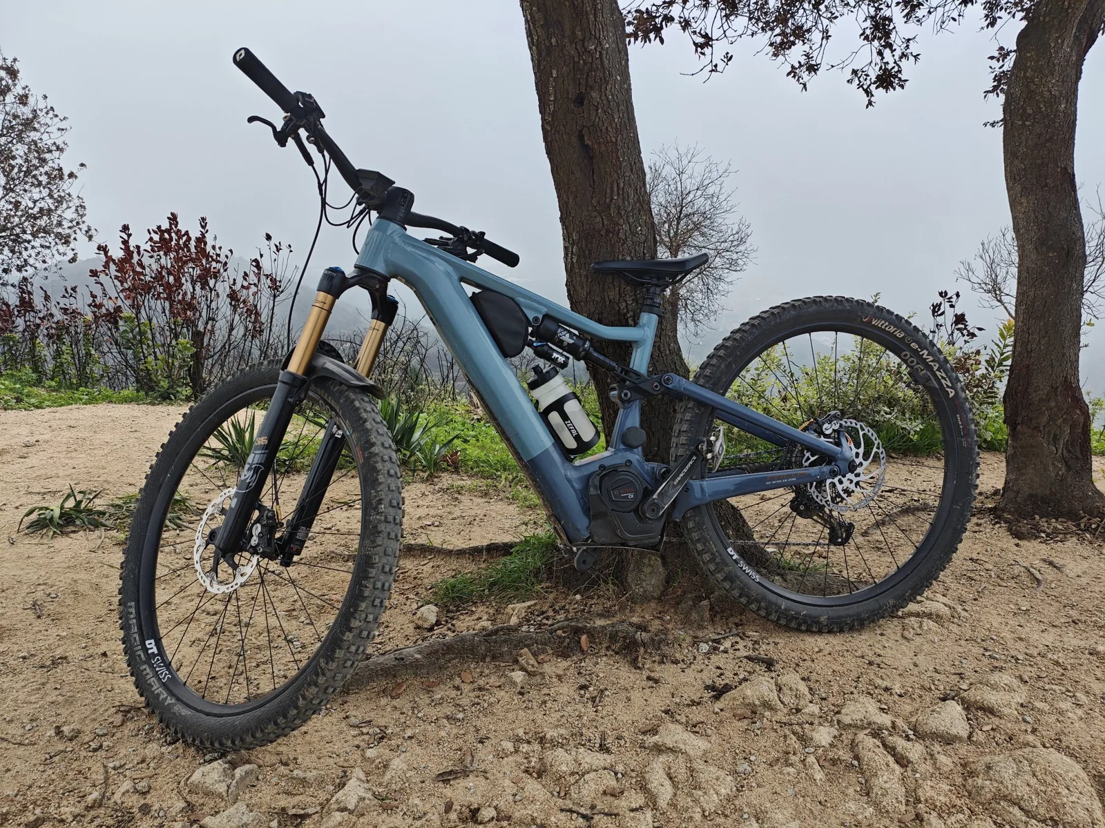 Mi Focus JAM² 6.9 apoyada en un árbol en el mirador de Galceran