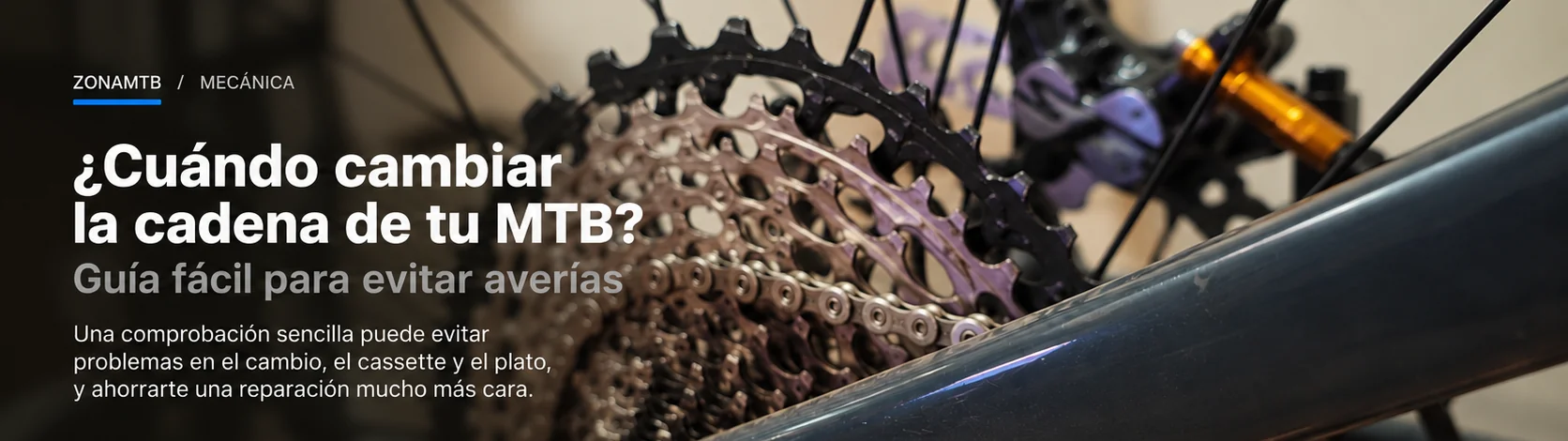 Montaje editorial de transmisión MTB para guía de desgaste de cadena